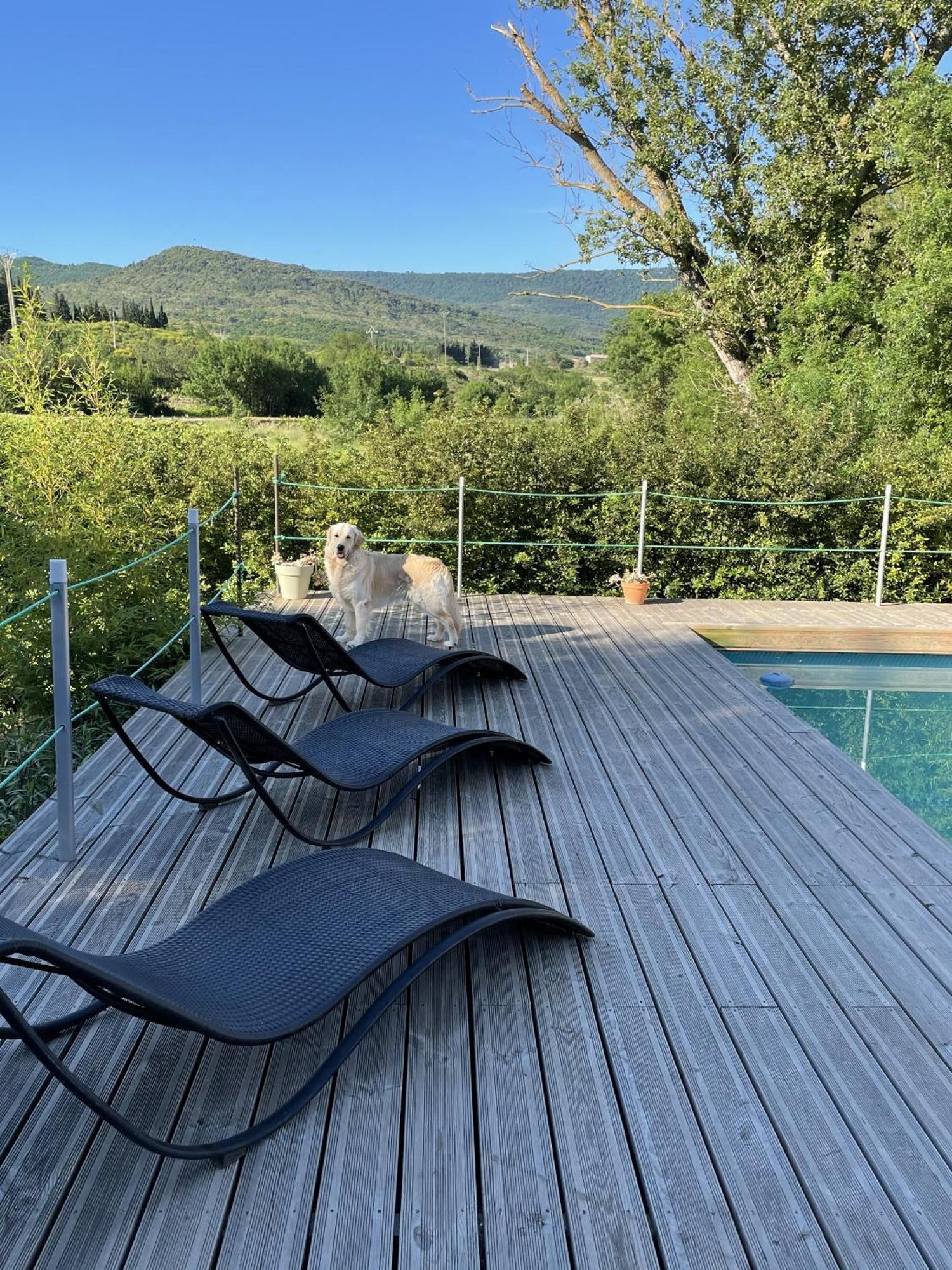 Le Domaine De La Tuilerie - Gite De Charme En Bord De Riviere Avec Piscine Servies-en-Val Kültér fotó