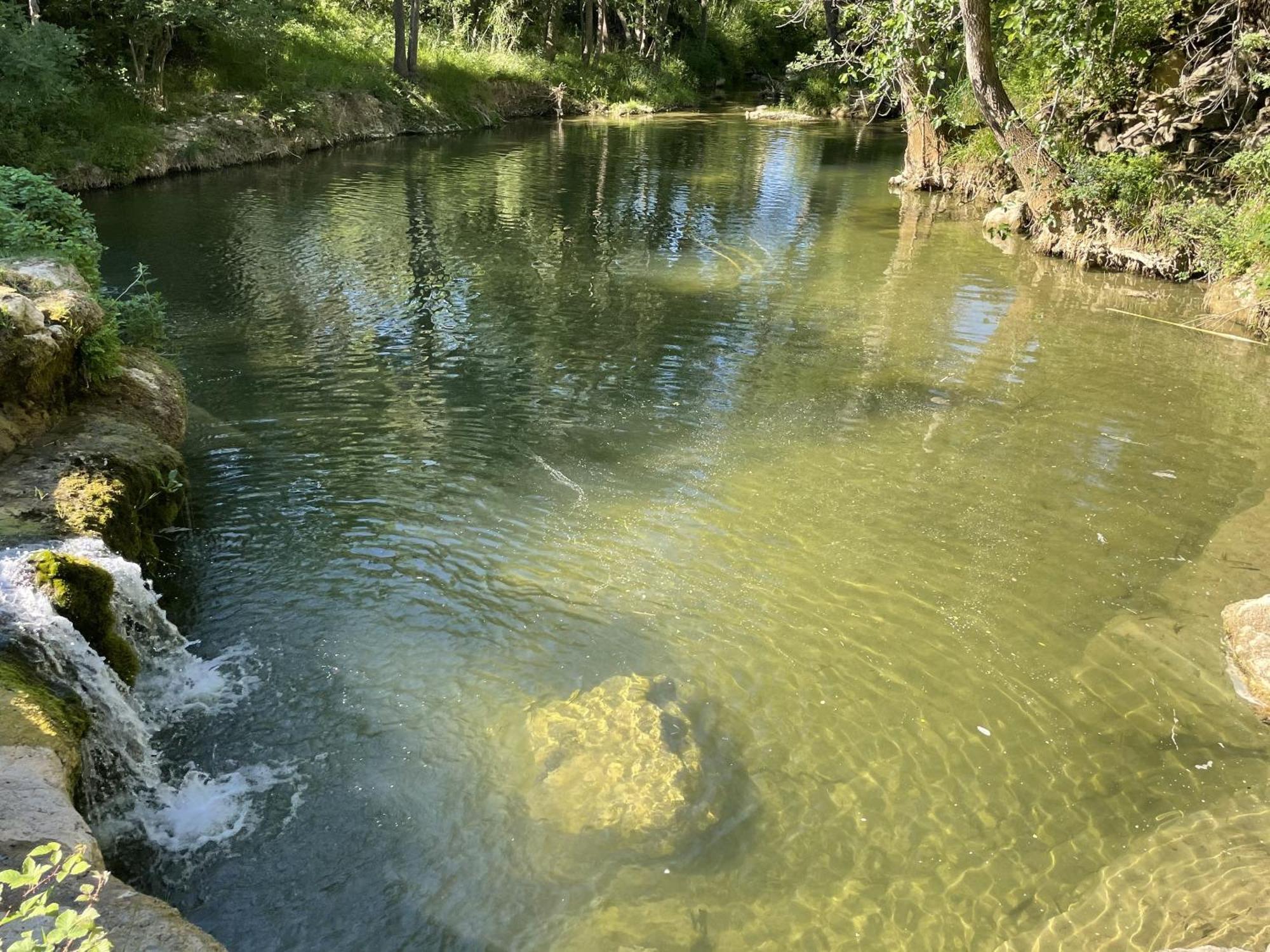 Le Domaine De La Tuilerie - Gite De Charme En Bord De Riviere Avec Piscine Servies-en-Val Kültér fotó