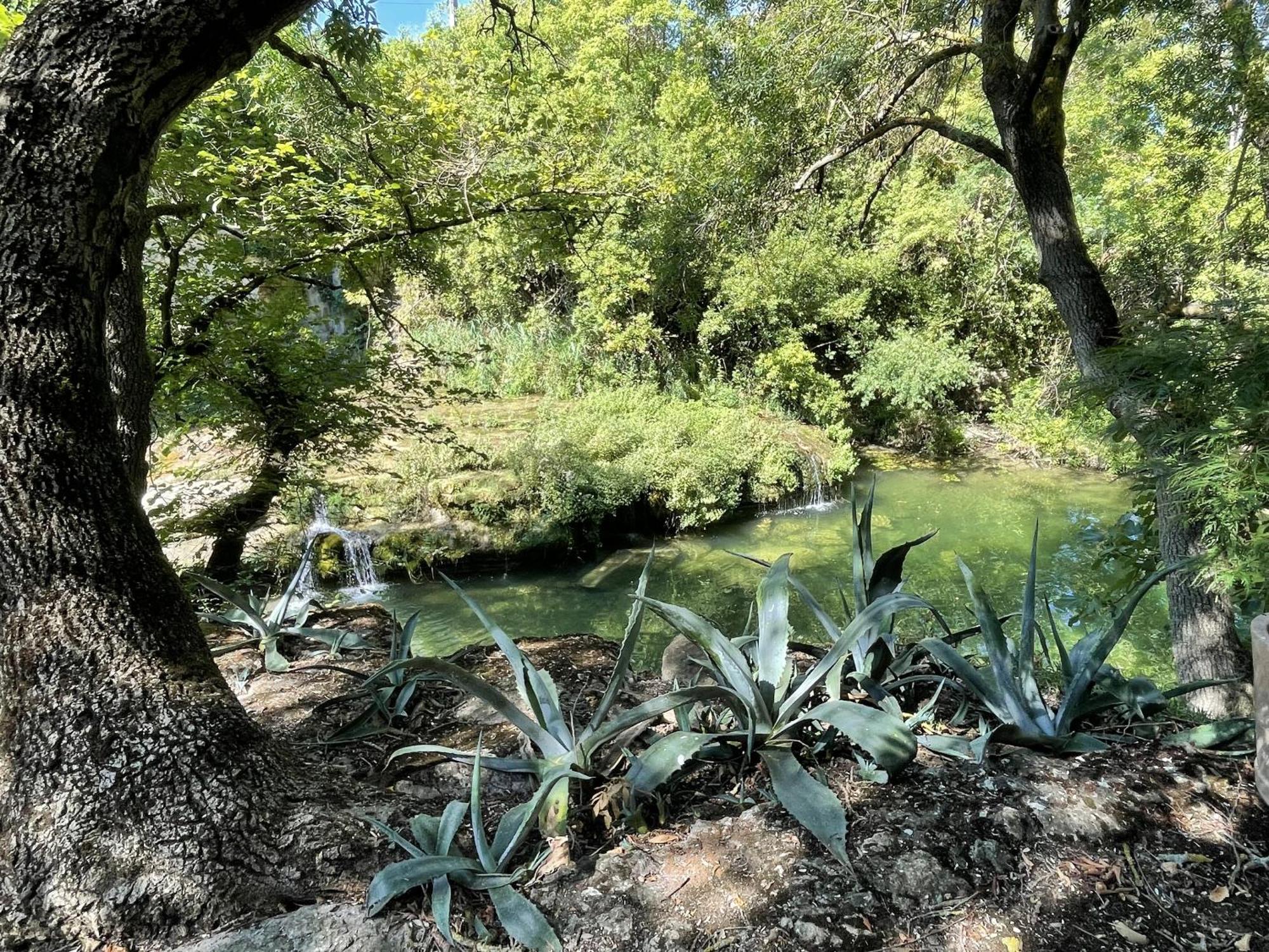 Le Domaine De La Tuilerie - Gite De Charme En Bord De Riviere Avec Piscine Servies-en-Val Szoba fotó